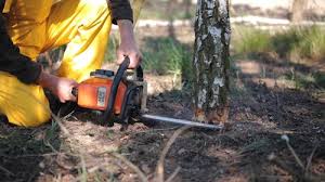  Lake Meade, PA Tree Removal and Landscaping Services Pros